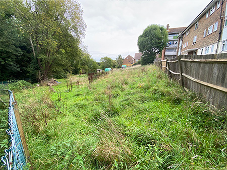 Community Garden