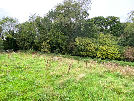 Community Garden