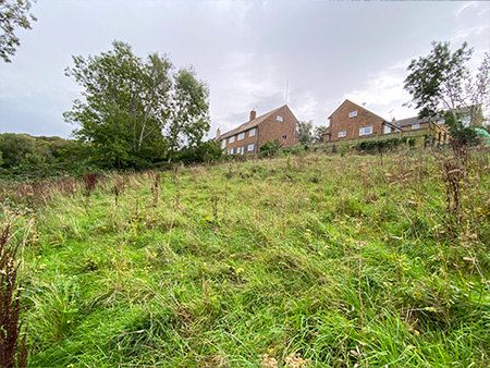 Community Garden