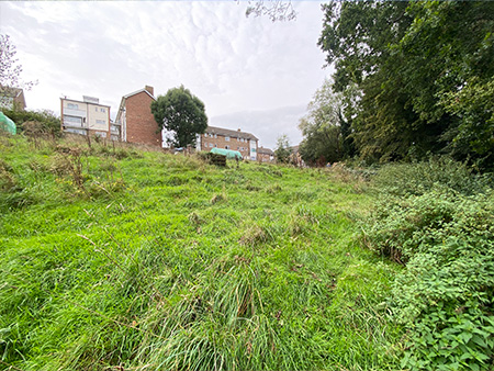 Community Garden
