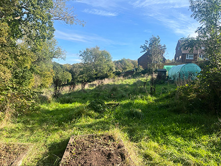 Community Garden